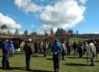 Pu Logko de Karawe invalidan reunión de Piñera con «Pseudo Logko Mapuche»