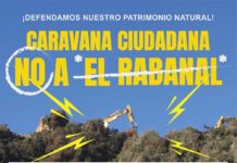 Megaproyecto inmobiliario El Rabanal podría estar destruyendo patrimonio arqueológico en Algarrobo