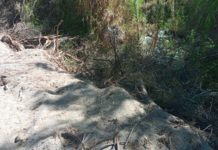 Agrícola suma ilegalidades en Monte Patria: AGRICOLA CARSAL EN LA MIRA DE VECINOS Y AUTORIDADES