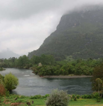 Segundo Tribunal Ambiental rechazó reclamación contra el proyecto «Piscicultura río Calcurrupe» en Los Ríos