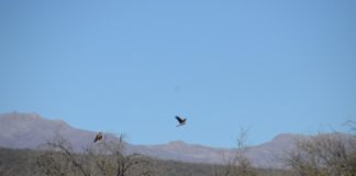 Energía fotovoltaica, cuando la energía solar se transforma en una caldera a presión