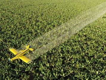 Perú | Quince años más de moratoria a los Transgénicos