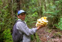 Organizaciones y comunidades indígenas demandan consulta indígena del Proyecto Ley Marco sobre cambio climático