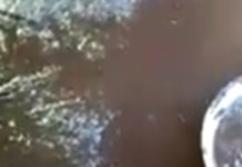 Machi Celestino Córdova denuncia infracción de normas sanitarias y obstrucción a su ejercicio espiritual en CET Vilcún