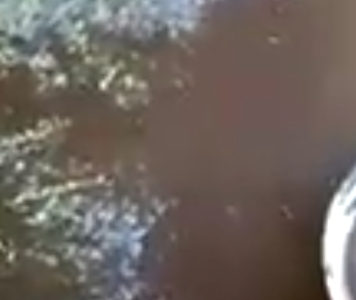 Machi Celestino Córdova denuncia infracción de normas sanitarias y obstrucción a su ejercicio espiritual en CET Vilcún