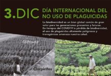 Día internacional del no uso de plaguicidas: detengamos la expansión de la liberación de las semillas transgénicas