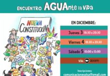 Los territorios hablan: Agua y Naturaleza en el Proceso Constituyente