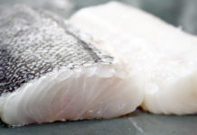 Gobierno insiste en aumentar cuota de la merluza austral hasta el año 2023 pese a su evidente estado de sobrepesca