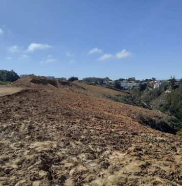 Amedrentan a científicos en «extraño» robo en El Rabanal – Algarrobo