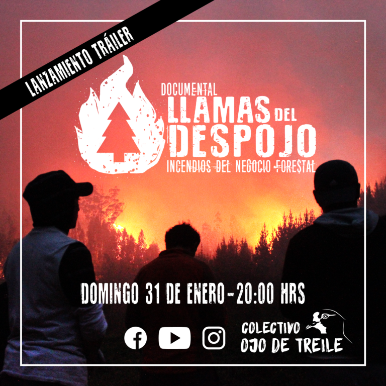 LLamas del Despojo: Incendios del negocio forestal: Lanzamiento tráiler documental