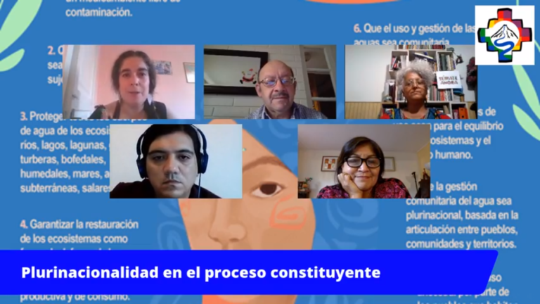 Reviva el conversatorio sobre plurinacionalidad en la Convención Constitucional