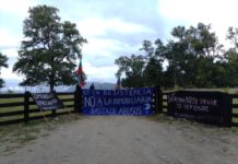 Lof Dionisio Manquel Chepo y Küpal Calfío inician proceso de recuperación territorial ante avance inmobiliario