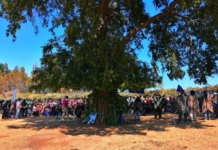 Lef trawun en Temucuicui: fin a la invasión y violencia estatal chilena