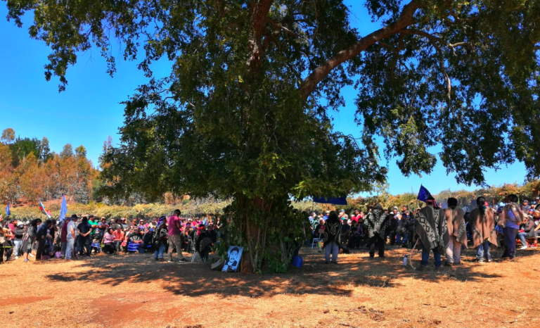 Lef trawun en Temucuicui: fin a la invasión y violencia estatal chilena