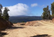 Los Pellines: Agrícola Kuriñanco no detiene faenas, pese a orden judicial de no innovar