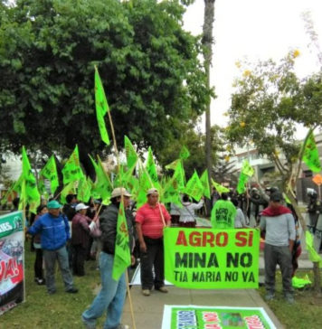 Perú | Condenan a tres dirigentes y absuelven a 11 acusados en Caso Tía María