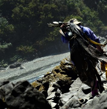 Libro «Mujeres navegantes y de orilla: Innovación y tradición alimentaria con sabor a mar»