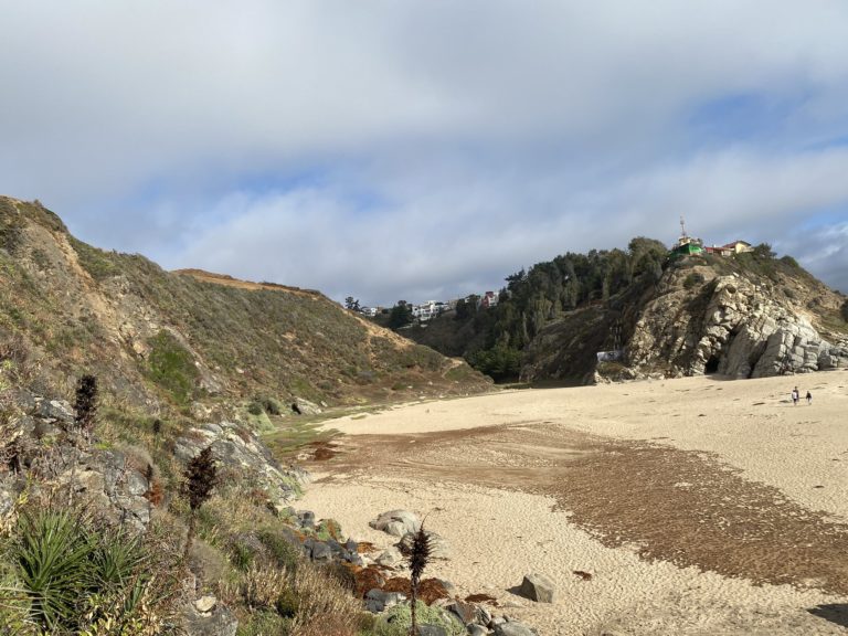Las consecuencias de arrasar nativo en Mirasol: Aluviones y lodo en El Rabanal