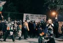 Luisa Toledo: marcada por el desgarro de sus hijos y las ansias de justicia