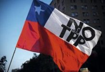 47 Convencionales Constituyentes solicitan a Presidenta del Senado que no tramite el TPP-11 ni ningún otro tratado de libre comercio o inversión