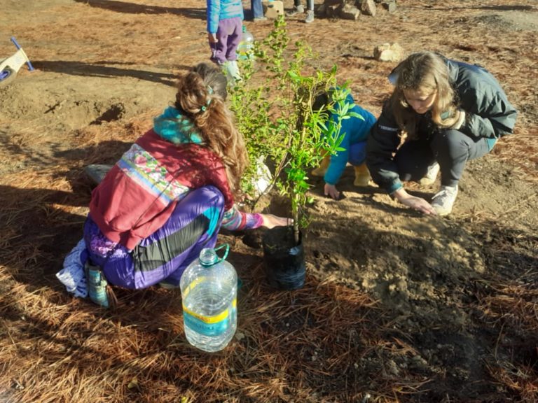 Comunidad reforesta y rescata Pillán Wechün (La Puntilla) en Algarrobo