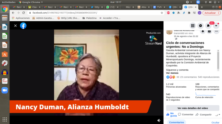 Conversaciones Urgentes con Nancy Duman sobre No a Dominga