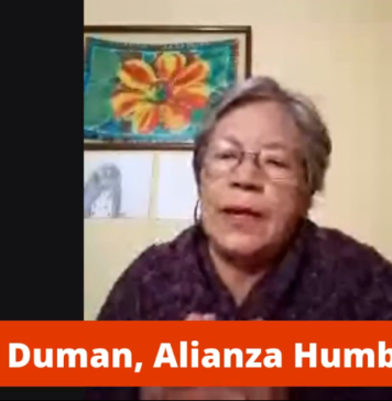 Conversaciones Urgentes con Nancy Duman sobre No a Dominga