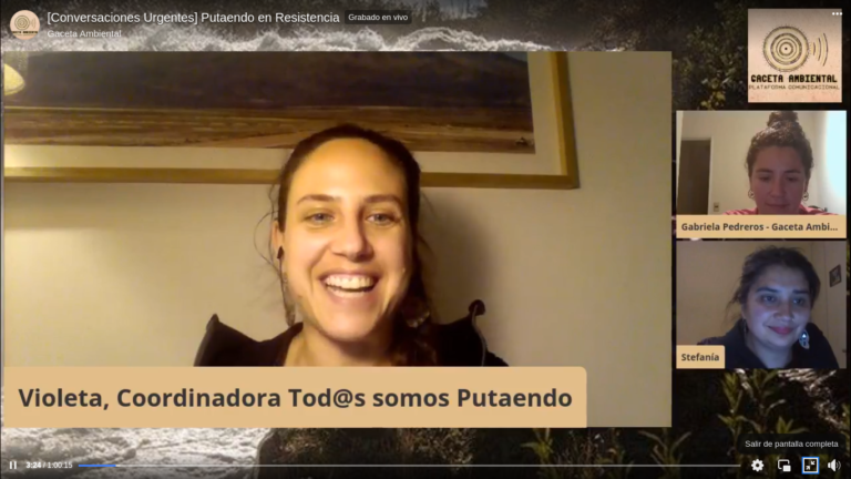 Conversaciones Urgentes con Violeta Rabi en defensa de Putaendo libre de minería