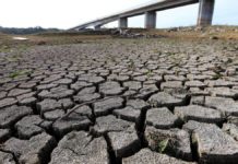 Poca agua, altas temperaturas: el complejo escenario de sequía invernal que dejó en evidencia el mes de julio