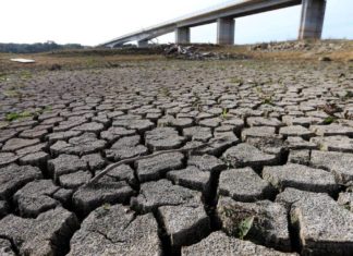 Poca agua, altas temperaturas: el complejo escenario de sequía invernal que dejó en evidencia el mes de julio