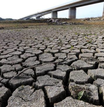 Poca agua, altas temperaturas: el complejo escenario de sequía invernal que dejó en evidencia el mes de julio
