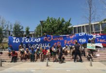 Vecinas y vecinos se movilizan en contra de la devastación del bosque nativo por una inmobiliaria en Peñalolén