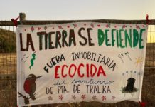 Punta de Tralca, lo que defiende la comunidad es el derecho de la naturaleza a existir