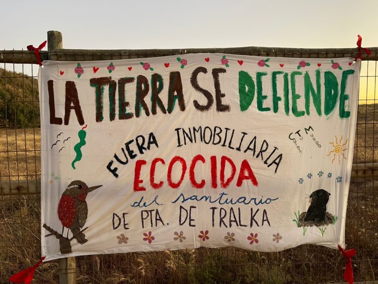 Punta de Tralca, lo que defiende la comunidad es el derecho de la naturaleza a existir