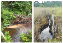 Perú | Loreto: derrames de petróleo aumentan a 5