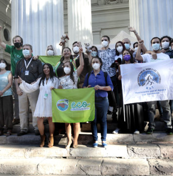 Histórico: Derechos de la Naturaleza y una vida libre de maltrato para los animales serán parte de la nueva Constitución