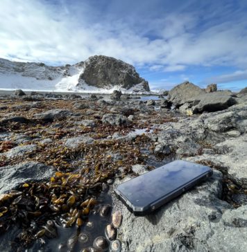Registran 34°C de temperatura en zonas costeras de la península Antártica