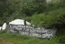 Ecuador: Asesinan a Defensora de la Naturaleza embarazada en Molleturo