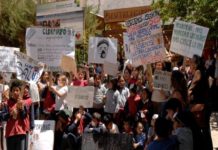 RAP-AL Chile apoya la prohibición de Clorpirifós, Metomilo y Paraquat y demanda su sustitución mediante fomento de bioinsumos y de estrategias, tecnologías y prácticas agroecológicas