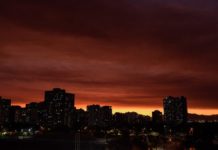 Conaf acusa que incendios forestales son causados por negligencia de empresas eléctricas