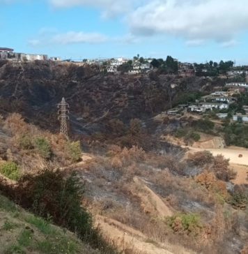 Entrevista: «la gente sabe muy bien las causas de los incendios»