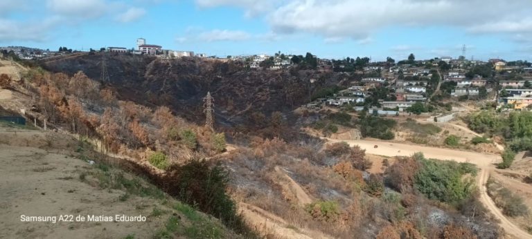 Entrevista: «la gente sabe muy bien las causas de los incendios»