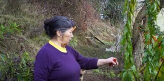 Corte Suprema denega amparo a familia de Julia Chuñil y organizaciones denuncian a ministros firmantes