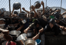 Palestina: Exigen investigar matanzas en repartos de comida