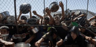 Palestina: Exigen investigar matanzas en repartos de comida