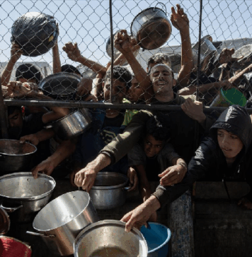 Palestina: Exigen investigar matanzas en repartos de comida