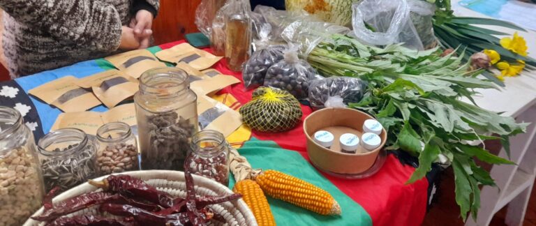 Mujeres mapuche y huerteras del Lavkemapu rechazan resolución del SAG por amenazar la semilla tradicional y el travkintu