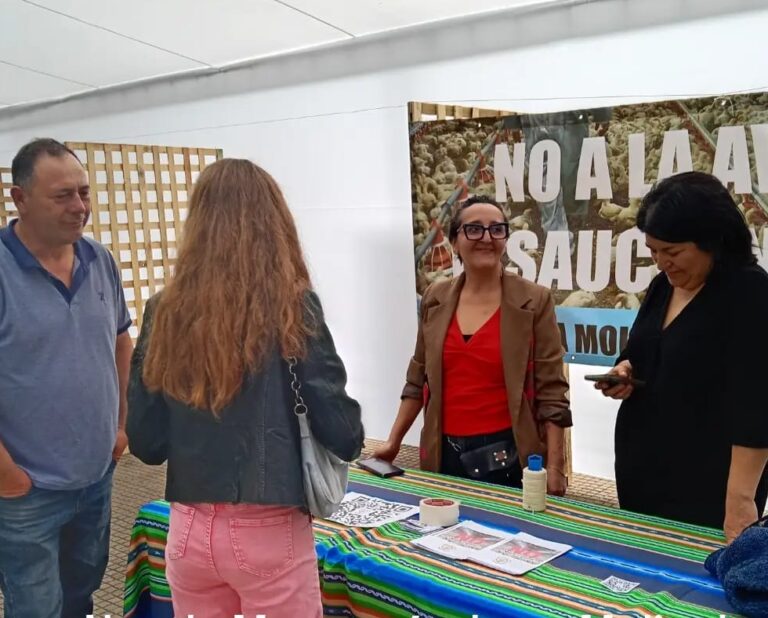 «Hay que retomar el camino de la unidad» para frenar al extractivismo: El despertar de la resistencia comunitaria en el Chile rural